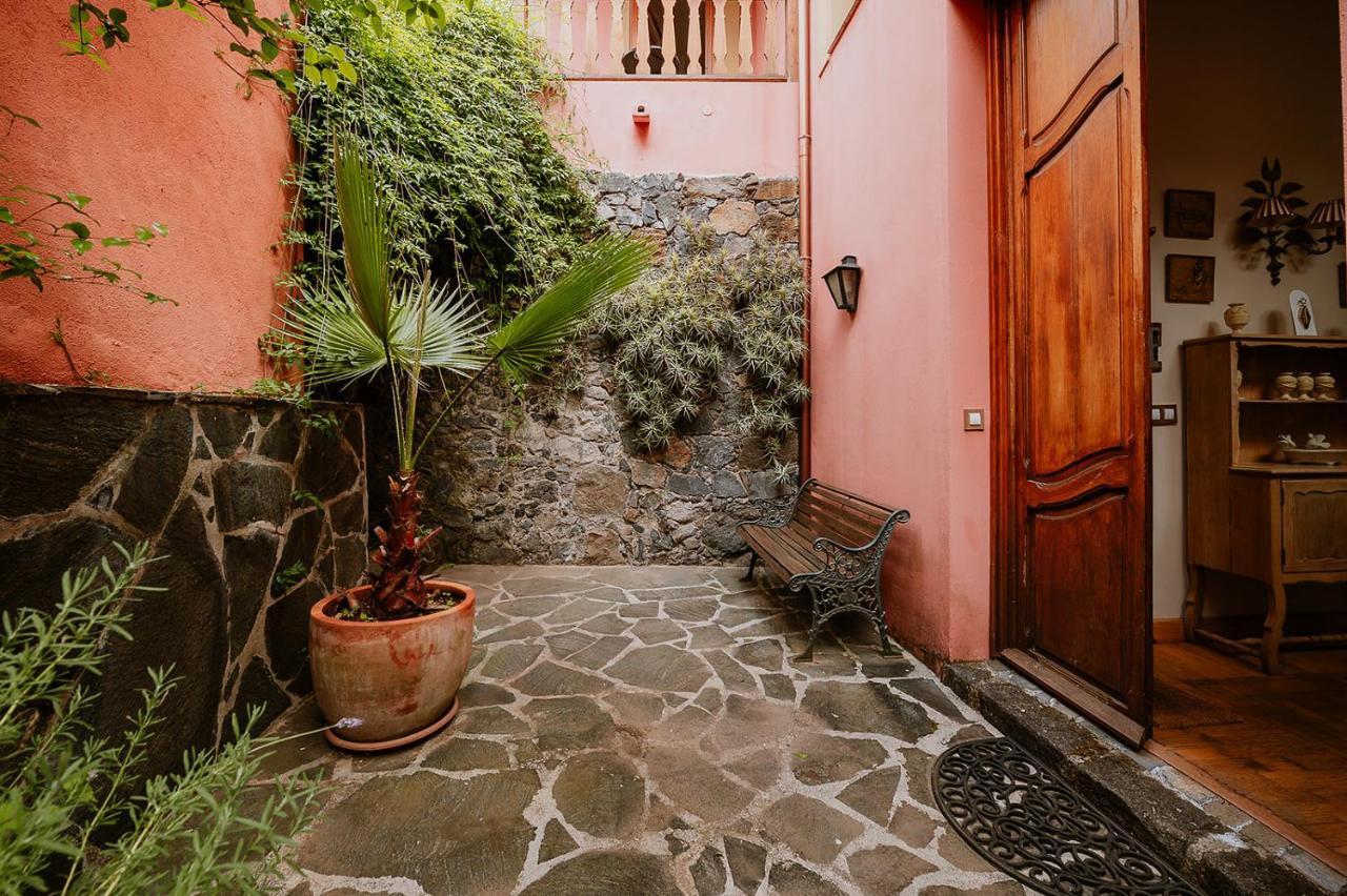 Homeforguest Rural House With Garden El Laurel Tacoronte Exterior photo